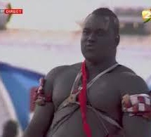 Sa Cadior 2 « Gouye Gui n’est plus mon ami….je pense livrer mon dernier combat de ma carrière.» Sa Cadior 2 « Gouye Gui n’est plus mon ami….je pense livrer mon dernier combat de ma carrière.»