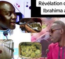 Face à Tange-Cheikh Fall PTP tacle sévèrement Ibrahima Salll ASRED après les révélation sur le yamba