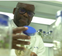 Laboratoire de recherches économiques et monétaires : Le colloque annuel prévu du 20 au 22 novembre prochain, à Dakar et Ziguinchor