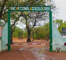 Unesco: Le Sénégal réussit à retirer le Niokolo Koba, du Patrimoine mondial en danger