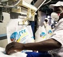 La CSS vise une production de près de 140 mille tonnes de sucre cette année (DG) La CSS vise une production de près de 140 mille tonnes de sucre cette année (DG)