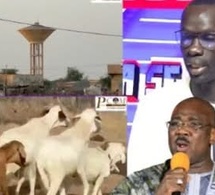 CA SE DISCUTE-Révélation explosive de Abdoulaye Ndiaye sur la stratégie victorieuse de Farba Ngom