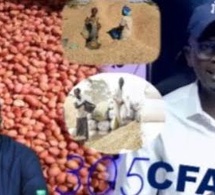 Face à Tange Cheikh Danfakha démasque l'échec de Sonko sur le prix du kg d'arachide fixé à 305 FCFA