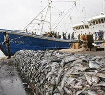 Pêche-Accord de partenariat Sénégal-UE : Moins de 7 milliards FCFA reçus par le Sénégal entre 2019-2024