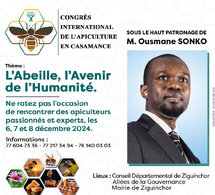 Économie verte : Le Congrès International de l’Apiculture en Casamance s’ouvre ce vendredi à Ziguinchor