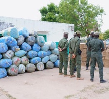 Senegal : Les unités de douanes interceptent d’importantes quantités de chanvre indien et de faux médicaments