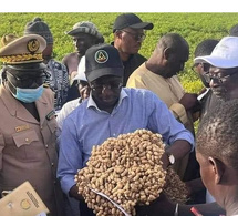 Porokhane : 9 opérateurs économiques arrêtés pour non-respect du prix plancher de l’arachide