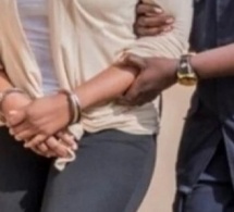 Kébémer : la femme d'un policier arrêtée pour trafic de chanvre indien et de volets
