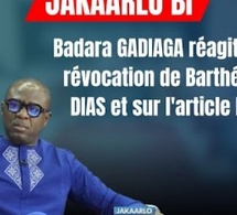 Révocation de Barthélémy Dias : Badara Gadiaga, chroniqueur à la Tfm tacle le Premier Ministre, Ousmane Sonko