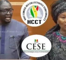 URGENT-La réplique de Ayib Daffe à Aïssata Tall Sall sur la suppression HCCT et CESE
