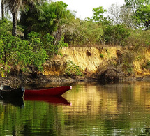 Kolda - Crise Écologique Sans Précédent : Le fleuve Casamance à l’agonie