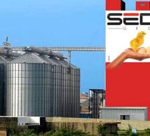 Sedima : Babacar Ngom s’apprêterait à vendre sa société aux Marocains !