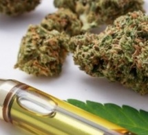 Trafic de e-cannabis au Sénégal : L'Ocrtis démantèle un réseau international