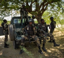Cameroun: le ministre de la Défense affirme que l'armée camerounaise a tué «une centaine» d'islamistes de Boko Haram