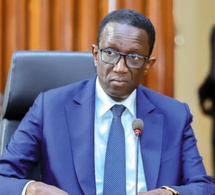 Assemblée nationale: La posture d'Amadou Bâ interpelle