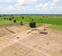 Souveraineté alimentaire : 50 fermes modernes financées pour renforcer l'agriculture communautaire au Sénégal