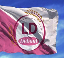 Rapport de la Cour des comptes : LD Debout aussi exige des sanctions et des réformes pour une gouvernance rigoureuse