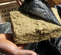 La police frappe fort à Ziguinchor : Saisie de six kilogrammes de chanvre indien, trois individus interpellés