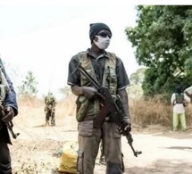Nouvelle attaque armée en Casamance : 30 millions FCFA emportés par les assaillants.