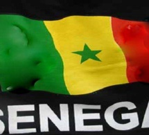 Sénégal : Et si nous faisons la Paix, pour une fois ? (par Cissé Kane Ndao)