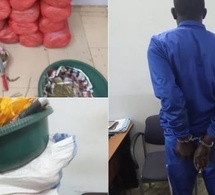 Trafic de drogue à Yarakh : 28 kg de chanvre saisis, un pêcheur interpellé