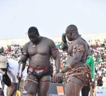Modou Lô Vs Gris Bordeau officiellement ficelé: PAF décroche la revanche