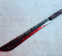 Vingt ans de prison ferme pour A. Sow : Le jeune berger avait tué son père, lui assénant 18 coups de machette