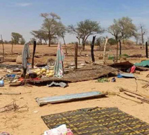 De violentes bourrasques dévastent le Daara de Gueb Fall et le village de Kawsara Fall : l’appel à l’aide d’El Hadji Fallou Fall