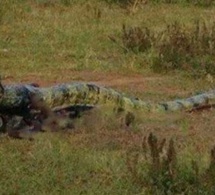 Guinée – Nzérékoré : Une fille surprise entrain de se transformer en serpent