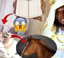 🚨 ALLAHOU AKBAR URGENT- Le grand retour du Pr Macky Sall pour briguer la présidence en 2029