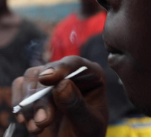 Kush, la drogue meurtrière qui ravage la jeunesse sénégalaise : Le cri d’alerte de Dr. Ibrahima Ndiaye sur ce fléau