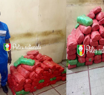 Kaolack I Trafic de drogue : 82 kg de chanvre indien saisis, un convoyeur arrêté...à Yeumbeul, un ressortissant étranger tombe avec des képas de Kush