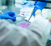 La Chine rattrape l'Occident dans le domaine des biotechnologies