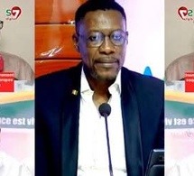Terrible réaction de Tange sur la réponse de Khadim Samb aux injures de Cheikh Bara à Bathie Gadiaga