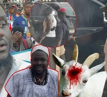 Urgent - Balla Gaye2 Sou Danone Siteu Day…" Ohhh Kmage bou daw yaram Bala Gaye mongi gnibi 😭😭