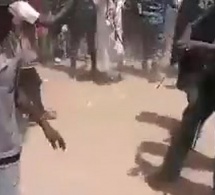 L’histoire de Demba Hamadi Sada Bâ, le berger au destin extraordinaire