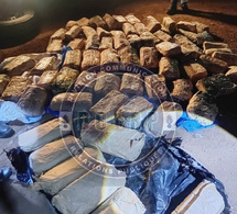 Thiès : La Gendarmerie saisit 92 kg de chanvre indien dans un 4x4 abandonné