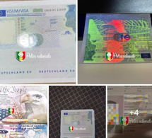 Réseau de faux documents démantelé : Trois personnes arrêtées à Ziguinchor