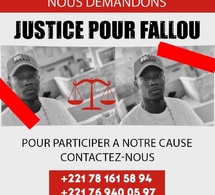 Urgent 🚨 : Fallou Fall   Est libre . Il bénéficie d’une liberté provisoire. I. N. N