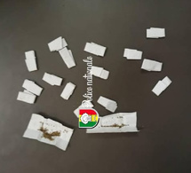 Détention de drogue à Ziguinchor : un homme arrêté avec 18 doses de Kush