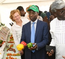 Filière horticole : Le ministre Mabouba Diagne pour une professionnalisation rapide