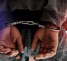 Diamaguène Sicap Mbao : un suspect arrêté par la police avec deux chèvres mortes destinées à la vente
