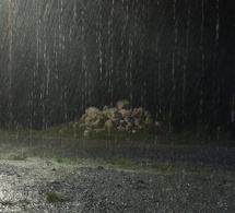 De fortes pluies annoncées : des inondations possibles, la directrice de la météo appelle à la prudence