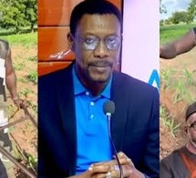 Grave révélation de Tange sur Azoura Fall de Sonko démolit sévérement le DG Fadilou Keita de la CDC