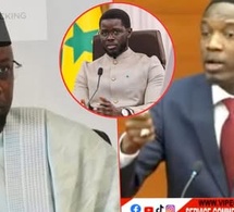 Pape Djibril Fall écrase la loi sur les lanceurs d’alerte critiques virulentes contre Sonko Diomaye