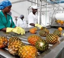 Sénégal : Baisse de l’activité du secteur secondaire en juin 2025