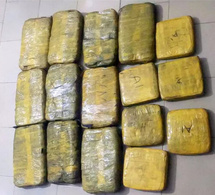 Thiès-coup de filet de la gendarmerie contre le trafic de drogue : 5 kg de chanvre saisis