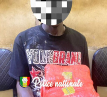 Kaolack : arrestation d’un trafiquant avec 4 kg de chanvre indien
