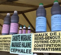 Pharmacopée traditionnelle : le Sénégal prépare deux arrêtés pour encadrer la pratique