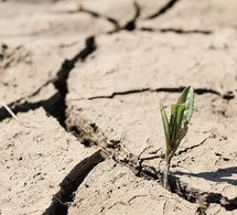 Dégradation des terres, pollution de l’air, stress hydrique : 90 % de la population mondiale touchée (Banque mondiale) Dégradation des terres, pollution de l’air, stress hydrique : 90 % de la population mondiale touchée (Banque mondiale)